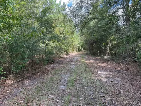 00 County Road 4 Rd, Fitzpatrick, AL 36029 photo 19
