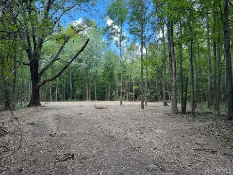 00 County Road 4 Rd, Fitzpatrick, AL 36029 photo 14