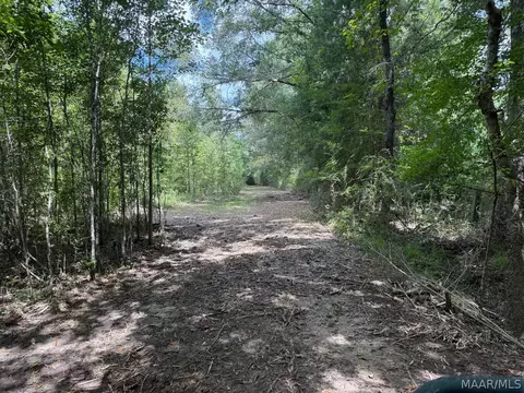 00 County Road 4 Rd, Fitzpatrick, AL 36029 photo 16