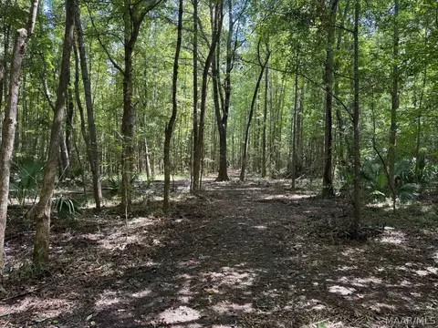 00 County Road 4 Rd, Fitzpatrick, AL 36029 photo 9
