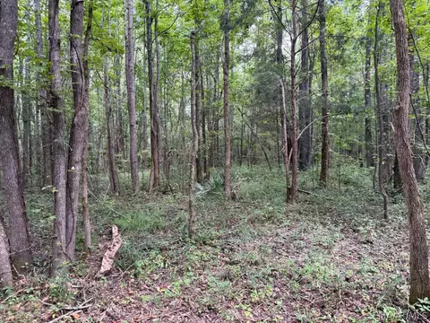 00 County Road 4 Rd, Fitzpatrick, AL 36029 photo 26