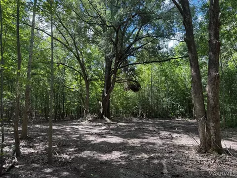 00 County Road 4 Rd, Fitzpatrick, AL 36029 photo 20