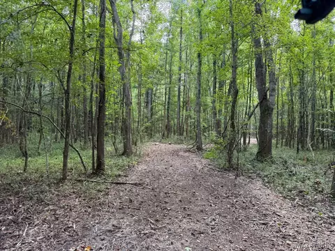 00 County Road 4 Rd, Fitzpatrick, AL 36029 photo 24