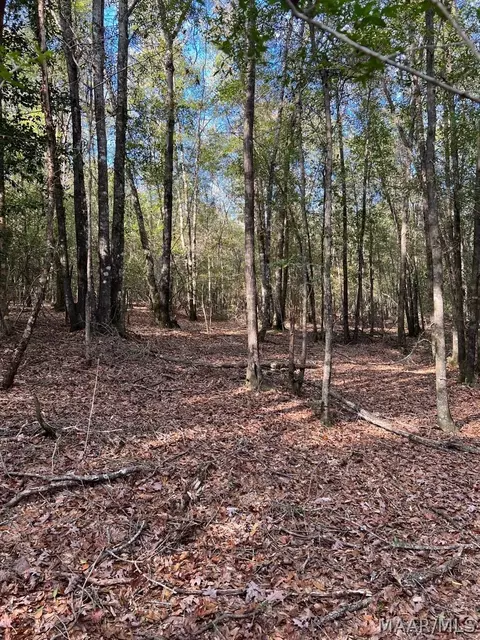 00 County Road 79 Rd, Billingsley, AL 36006