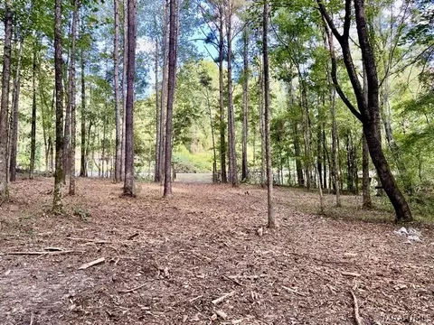 1 Mt Hebron Rd, Eclectic, AL 36024 photo 34
