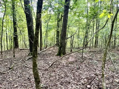 1 Mt Hebron Rd, Eclectic, AL 36024 photo 25