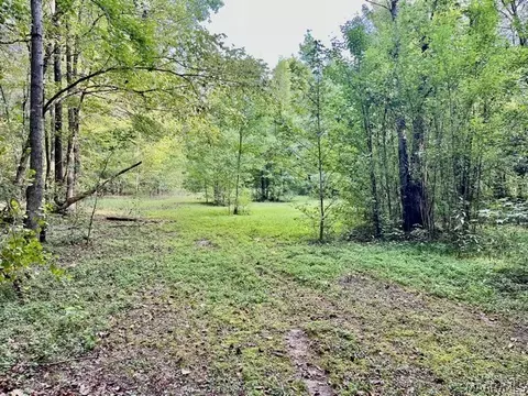 1 Mt Hebron Rd, Eclectic, AL 36024 photo 18