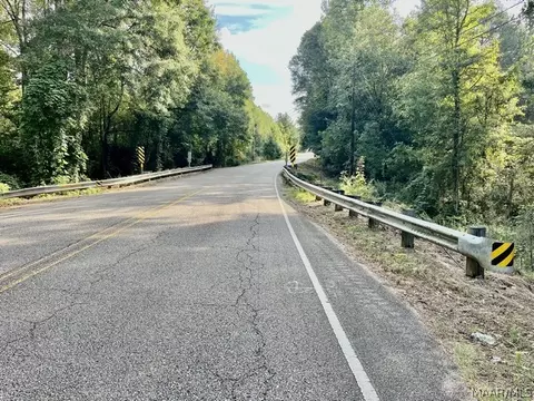 1 Mt Hebron Rd, Eclectic, AL 36024 photo 6