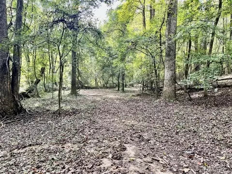 1 Mt Hebron Rd, Eclectic, AL 36024 photo 3