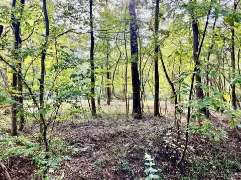 1 Mt Hebron Rd, Eclectic, AL 36024 photo 13