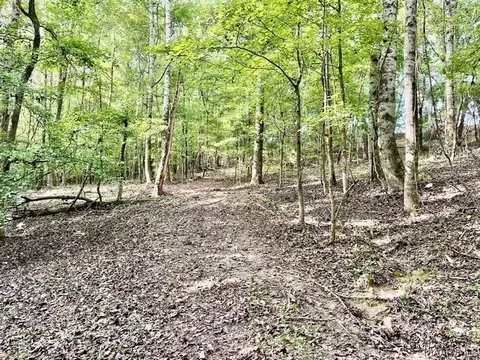 1 Mt Hebron Rd, Eclectic, AL 36024 photo 14