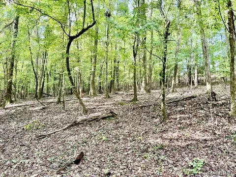 1 Mt Hebron Rd, Eclectic, AL 36024 photo 15