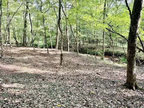 1 Mt Hebron Rd, Eclectic, AL 36024 photo 29