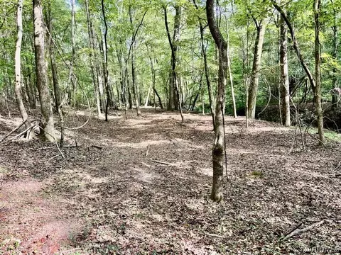 1 Mt Hebron Rd, Eclectic, AL 36024 photo 30