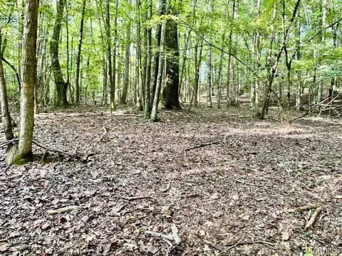 1 Mt Hebron Rd, Eclectic, AL 36024 photo 21