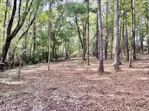 1 Mt Hebron Rd, Eclectic, AL 36024 photo 7