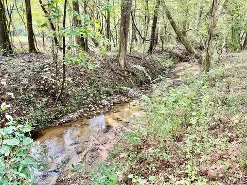 1 Mt Hebron Rd, Eclectic, AL 36024 photo 12