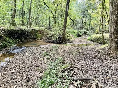 1 Mt Hebron Rd, Eclectic, AL 36024 photo 17