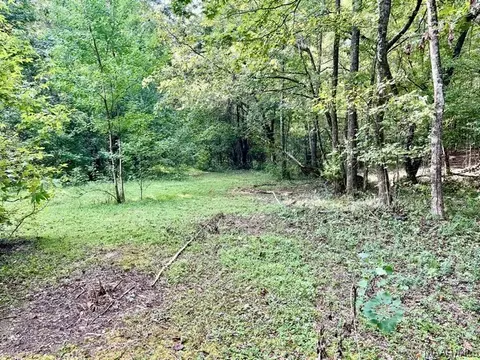 1 Mt Hebron Rd, Eclectic, AL 36024 photo 4