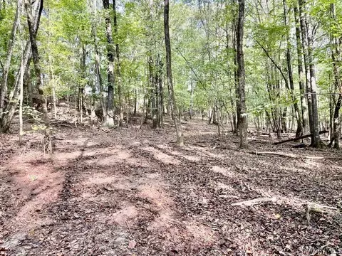 1 Mt Hebron Rd, Eclectic, AL 36024 photo 19