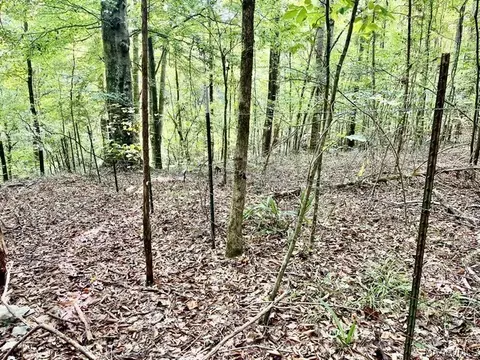 1 Mt Hebron Rd, Eclectic, AL 36024 photo 26
