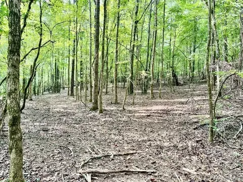 1 Mt Hebron Rd, Eclectic, AL 36024 photo 20