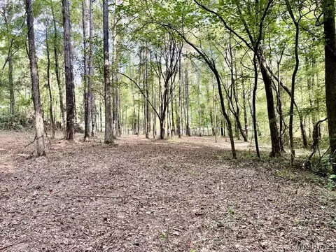 1 Mt Hebron Rd, Eclectic, AL 36024 photo 8