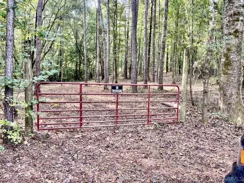 1 Mt Hebron Rd, Eclectic, AL 36024 photo 2