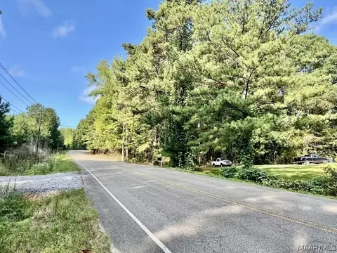 1 Mt Hebron Rd, Eclectic, AL 36024 photo 5