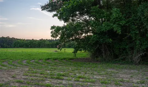 000 Pine Rd, Stapleton, AL 36578 photo 20