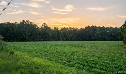 000 Pine Rd, Stapleton, AL 36578 photo 22