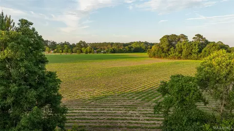 000 Pine Rd, Stapleton, AL 36578 photo 34