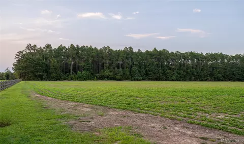 000 Pine Rd, Stapleton, AL 36578 photo 24