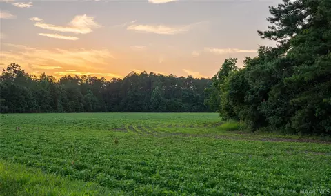 000 Pine Rd, Stapleton, AL 36578 photo 21