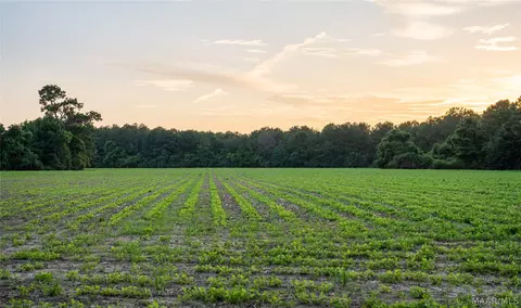 000 Pine Rd, Stapleton, AL 36578 photo 18