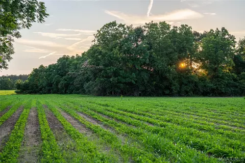 000 Pine Rd, Stapleton, AL 36578 photo 11