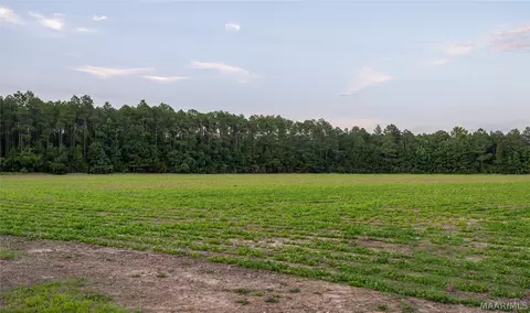 000 Pine Rd, Stapleton, AL 36578 photo 25