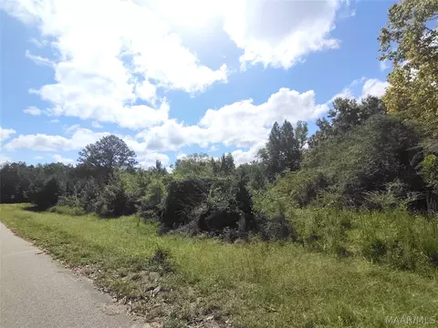 Other - 26 Trout Rd, Lapine, AL 36046 photo 4 of 5