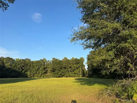 331 Old Barnes Rd, Mathews, AL 36065 photo 10
