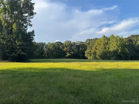 331 Old Barnes Rd, Mathews, AL 36065 photo 6
