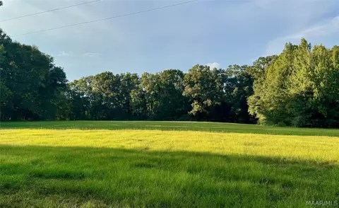 331 Old Barnes Rd, Mathews, AL 36065 photo 3