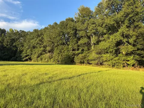 359 Old Barnes Rd, Mathews, AL 36052