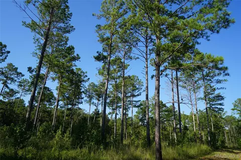 2202 Gibson Rd, Montgomery, AL 36116 photo 15