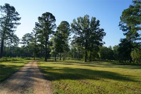 2202 Gibson Rd, Montgomery, AL 36116 photo 5