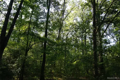 2202 Gibson Rd, Montgomery, AL 36116 photo 16
