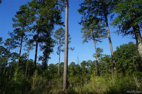 2202 Gibson Rd, Montgomery, AL 36116 photo 20