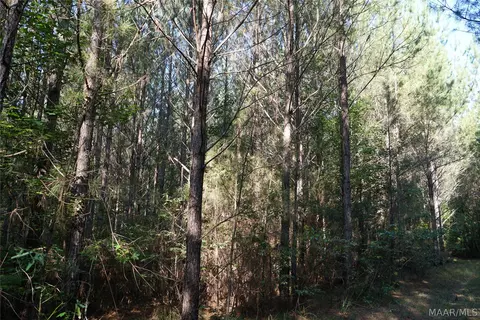 2202 Gibson Rd, Montgomery, AL 36116 photo 18