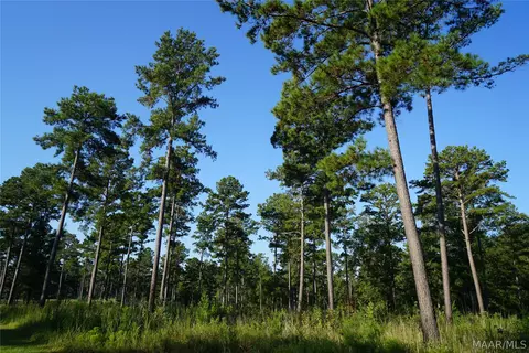 2202 Gibson Rd, Montgomery, AL 36116 photo 6