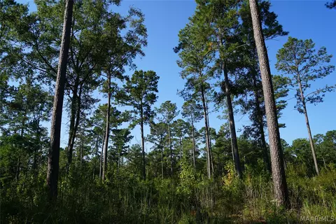 2202 Gibson Rd, Montgomery, AL 36116 photo 21