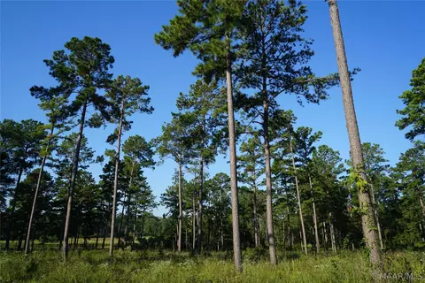 2202 Gibson Rd, Montgomery, AL 36116 photo 7